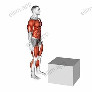1 to 2 Jump Box exercise targeting Plyometrics