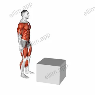2 to 1 Jump Box exercise targeting Plyometrics