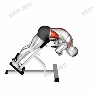 45 degrees Back Extension Scapular Adduction exercise targeting Back