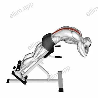 45 degrees Back Extension exercise targeting Hips and Erector Spinae