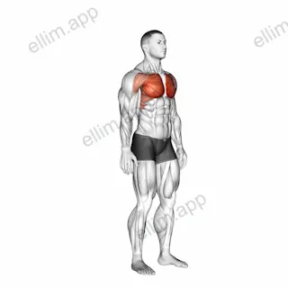 Above Head Chest Stretch exercise targeting Chest and Pectoralis Major Clavicular Head