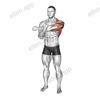 Across Chest Shoulder Stretch exercise targeting Shoulders and Deltoid Posterior