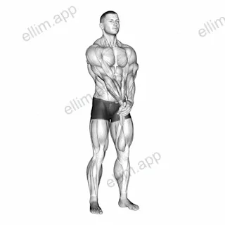 Adduction Hand With Elbow Extended Stretch exercise targeting Forearms