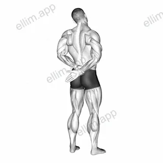 Adduction Of Arm In Back Stretch exercise targeting Back