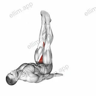 Adductor Stretch exercise targeting Hips and Adductor Brevis