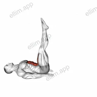 Alternate Leg Raise exercise targeting Hips and Iliopsoas