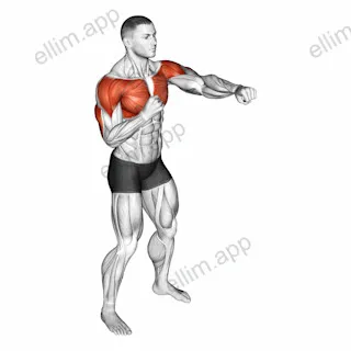Alternate Punching exercise targeting Chest and Shoulders
