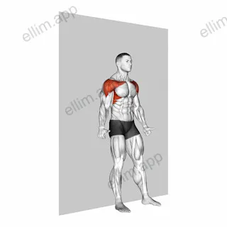 Alternate Shoulder Flexion Back to Wall exercise targeting Shoulders