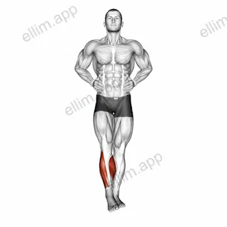 Ankle Circles exercise targeting Calves and Gastrocnemius