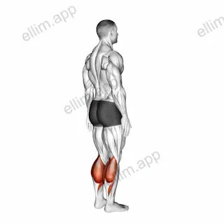 Ankle - Plantar Flexion exercise targeting Calves
