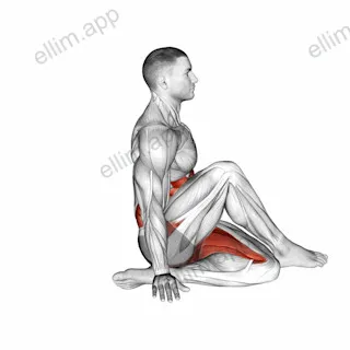 Ardha Matsyendrasana Yoga Pose exercise targeting Thighs