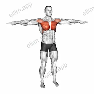 Arm Crossover exercise targeting Chest and Pectoralis Major Clavicular Head