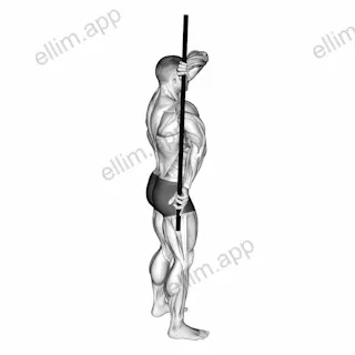 Arm Down Rotator Stretch exercise targeting Shoulders