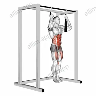 Arm Slingers Hanging Straight Legs exercise targeting Waist and Iliopsoas