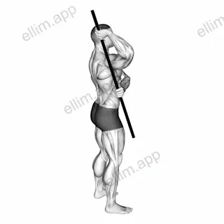 Arm Up Rotator Stretch exercise targeting Shoulders