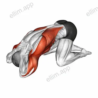 Armless Prayer Stretch exercise targeting Stretching