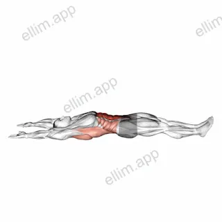 Arms Overhead Full Sit-up exercise targeting Erector Spinae and Iliopsoas