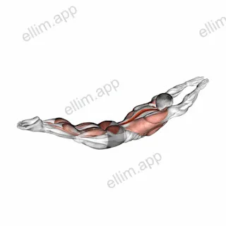 Around the World Superman Hold exercise targeting Hips and Erector Spinae