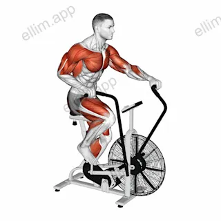 Assault Bike Run exercise targeting Cardio