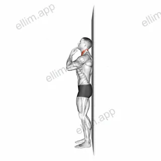 Assisted Chin Tuck exercise targeting Neck