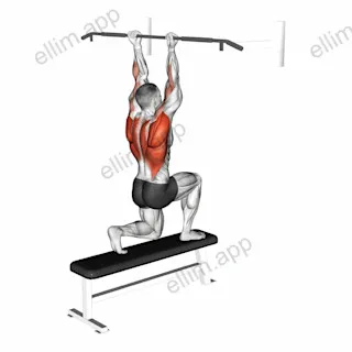 Assisted Chin up (low bar position) exercise targeting Back