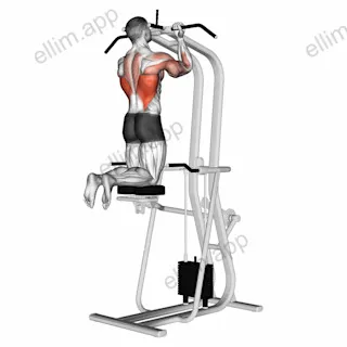 Assisted Close grip Underhand Chin up exercise targeting Back