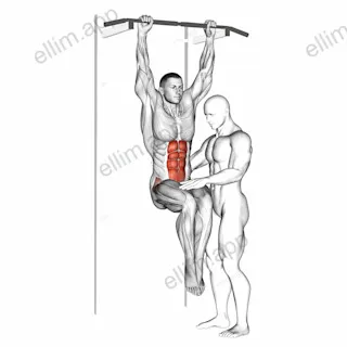 Assisted Hanging Knee Raise With Throw Down exercise targeting Waist and Iliopsoas