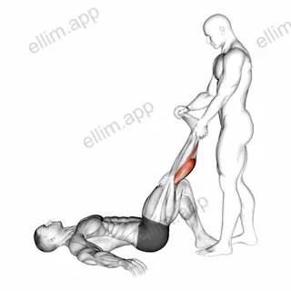 Assisted Lying Gastrocnemius Stretch exercise targeting Calves