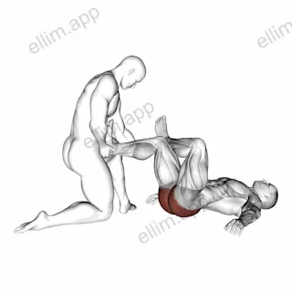 Assisted Lying Gluteus And Piriformis Stretch exercise targeting Hips