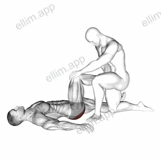 Assisted Lying Gluteus Maximus Stretch exercise targeting Hips