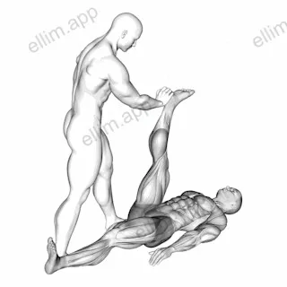 Assisted Lying Hamstring Stretch exercise targeting Thighs