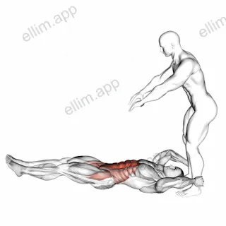Assisted Lying Leg Raise With Throw Down exercise targeting Waist and Rectus Abdominis