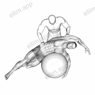 Assisted Oblique And Latissimus Dorsi Stretch On Stability Ball exercise targeting Back