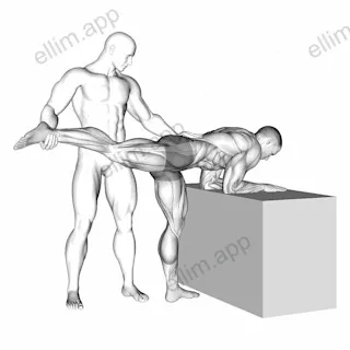 Assisted One Leg Extension exercise targeting Hips