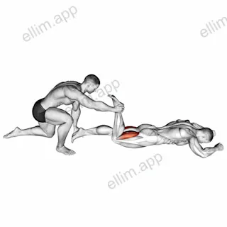 Assisted Prone Hamstring exercise targeting Thighs and Hamstrings