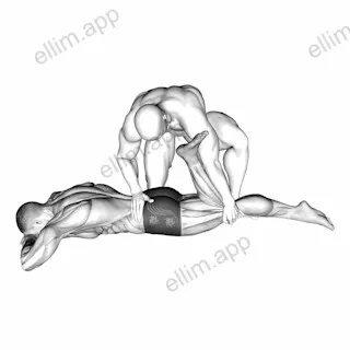Assisted Prone Rectus Femoris Stretch exercise targeting Waist