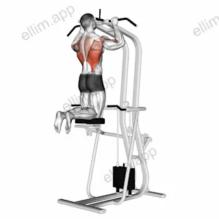 Assisted Pull up exercise targeting Back