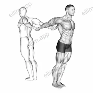 Assisted Pulling Backs Chest Stretch exercise targeting Chest