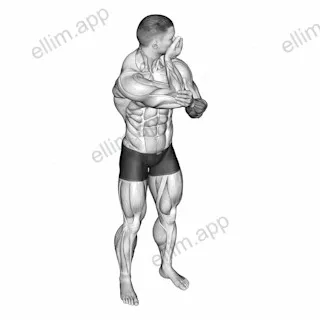 Assisted Rotating Neck Stretch exercise targeting Neck
