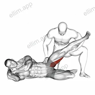 Assisted Side Lying Adductor Stretch exercise targeting Hips