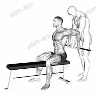 Assisted Sitting Reverse Shoulder Stretch exercise targeting Shoulders