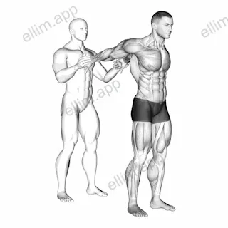 Assisted Standing Chest Stretch exercise targeting Chest