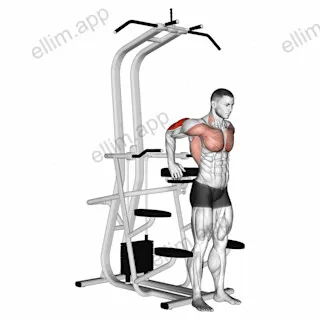 Assisted Standing Triceps Dip exercise targeting Upper Arms and Pectoralis Major Sternal Head