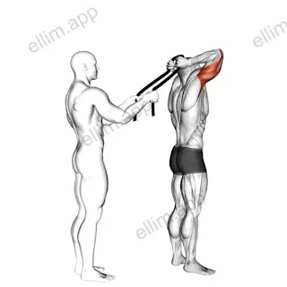 Assisted Standing Triceps Extension (with towel) exercise targeting Upper Arms and Triceps Brachii