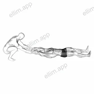 Assisted Straight Arms Lying Stretch exercise targeting Chest