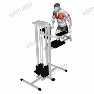 Assisted Wide Grip Chest Dip (kneeling) exercise targeting Chest