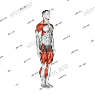 Astride Jumps exercise targeting Cardio