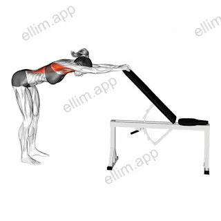 Back Pec Stretch exercise targeting Back and Latissimus Dorsi
