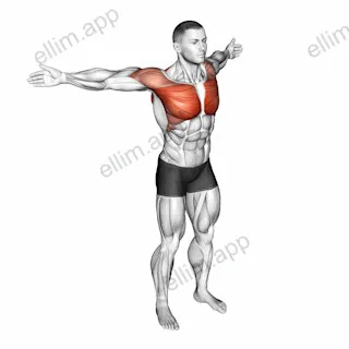 Back Slaps Wrap Arround Stretch exercise targeting Back and Infraspinatus