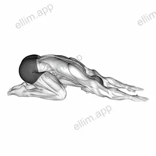 Back Stretch exercise targeting Back and Latissimus Dorsi